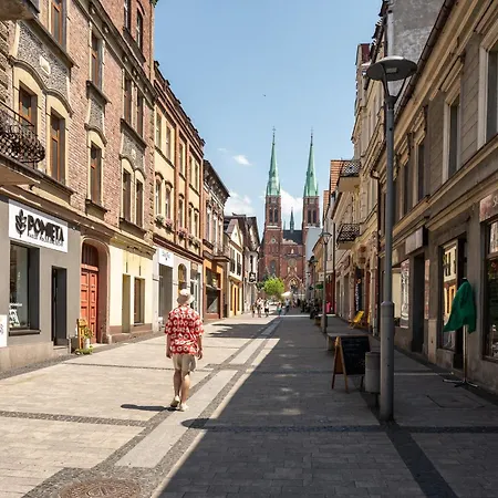 Appartamento Platinum 24 Rybnik (Silesia)